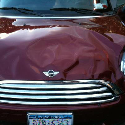 What a deer does to your Mini