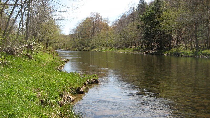 willowemoc creek - Upstater