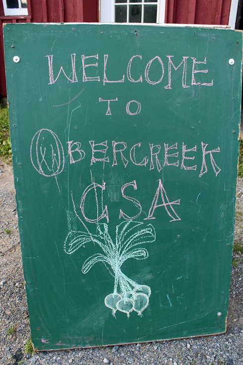 Obercreek Farm CSA