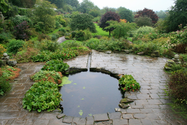 The_Walled_Garden_in_The_Rain_-_geograph.org.uk_-_971991
