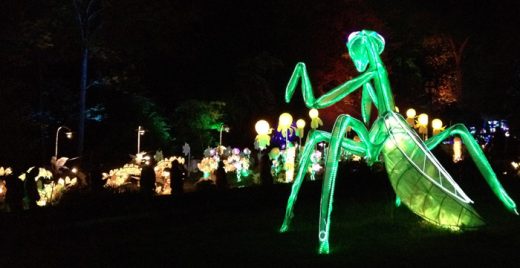 A luminous mantis overlooks the Manor