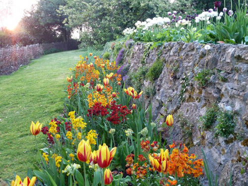 ben-pentreaths-tulip-garden-two1