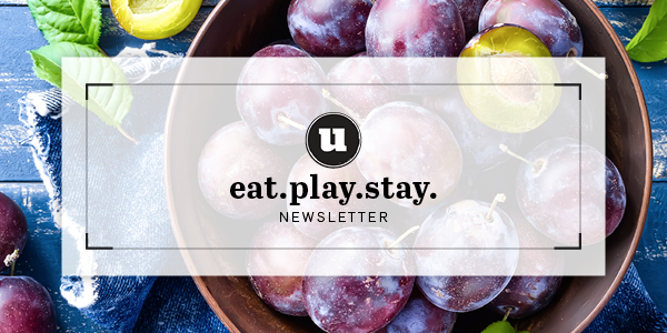 eat play stay newsletter upstater